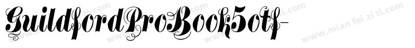 GuildfordProBook5otf字体转换
