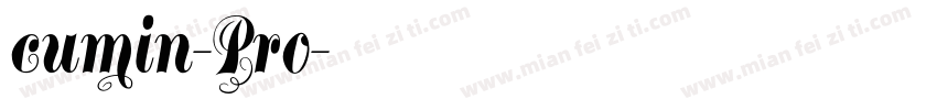 cumin-Pro字体转换