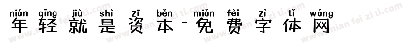年轻就是资本字体转换