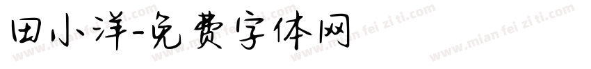田小洋字体转换