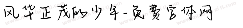 风华正茂的少年字体转换