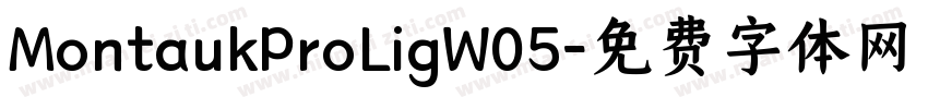 MontaukProLigW05字体转换