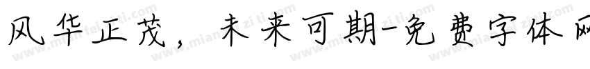 风华正茂，未来可期字体转换