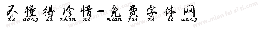 不懂得珍惜字体转换