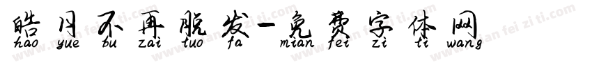 皓月不再脱发字体转换