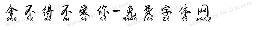 舍不得不爱你字体转换