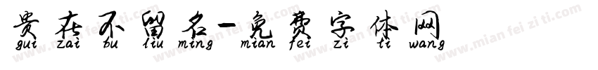 贵在不留名字体转换