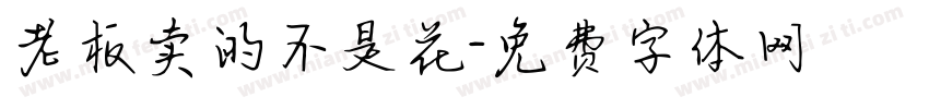 老板卖的不是花字体转换
