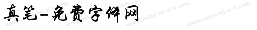 真笔字体转换
