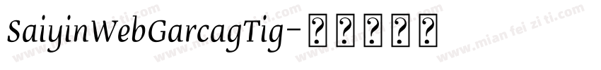 SaiyinWebGarcagTig字体转换