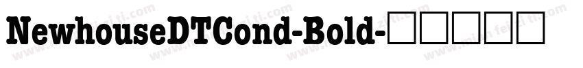 NewhouseDTCond-Bold字体转换