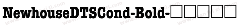 NewhouseDTSCond-Bold字体转换