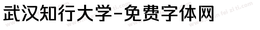 武汉知行大学字体转换