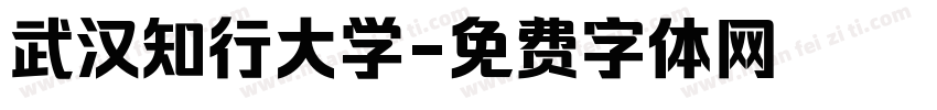 武汉知行大学字体转换