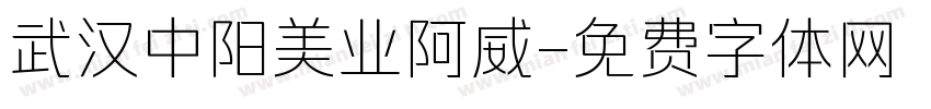 武汉中阳美业阿威字体转换