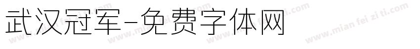 武汉冠军字体转换