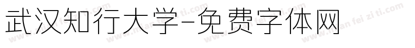 武汉知行大学字体转换