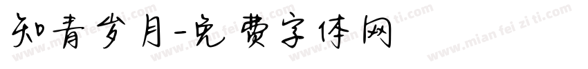 知青岁月字体转换