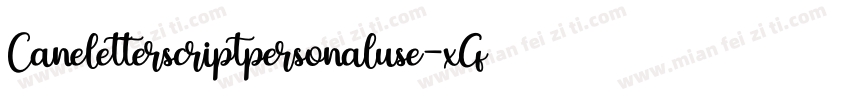 Caneletterscriptpersonaluse-xGz8字体转换