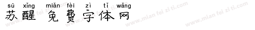 苏醒字体转换
