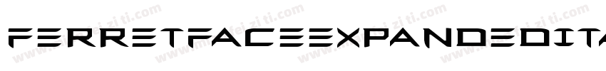 FerretFaceExpandedItalic-qgR0字体转换