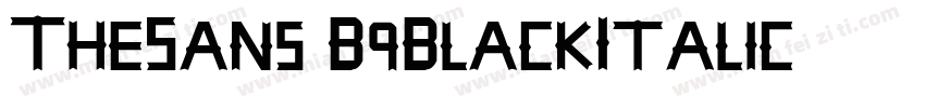 TheSans-B9BlackItalic字体转换