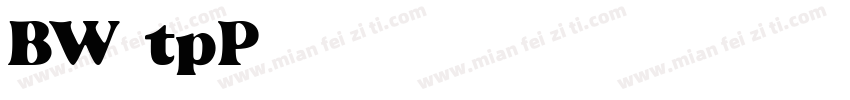 BW7tpP字体转换