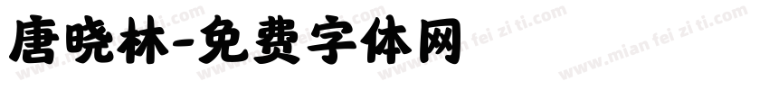 唐晓林字体转换