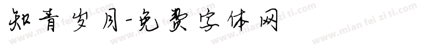 知青岁月字体转换