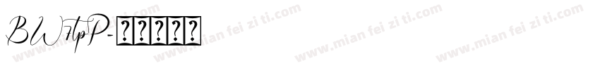 BW7tpP字体转换