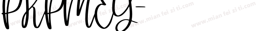 PKPMEG字体转换