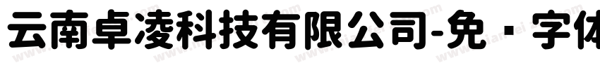 云南卓凌科技有限公司字体转换