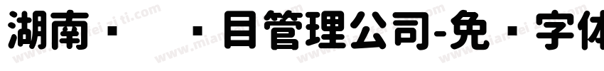 湖南飞达项目管理公司字体转换
