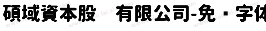 碩域資本股份有限公司字体转换