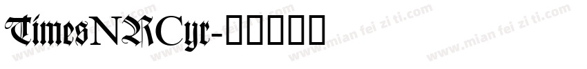 TimesNRCyr字体转换
