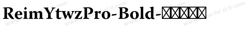 ReimYtwzPro-Bold字体转换