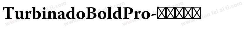 TurbinadoBoldPro字体转换