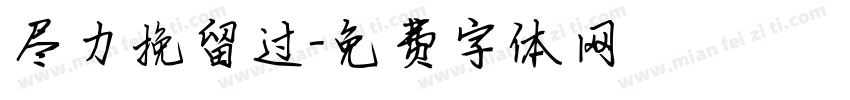 尽力挽留过字体转换