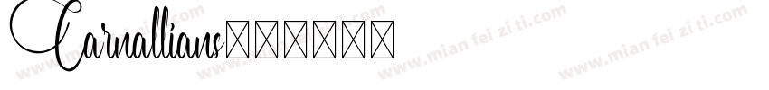 Carnallians字体转换