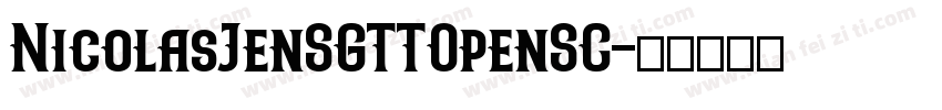 NicolasJenSGTTOpenSC字体转换