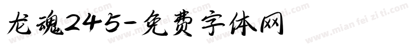 龙魂245字体转换