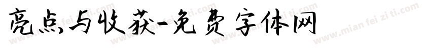 亮点与收获字体转换