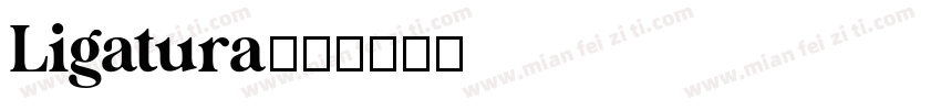 Ligatura字体转换