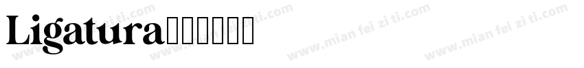 Ligatura字体转换