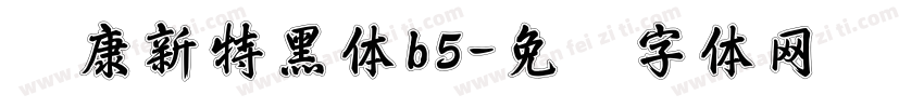 华康新特黑体b5字体转换