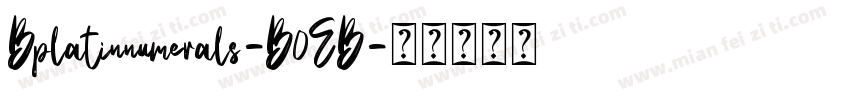 Bplatinnumerals-B0EB字体转换