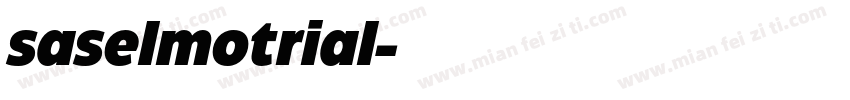 saselmotrial字体转换