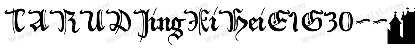 TARUDJingXiHeiE1G30-字体转换