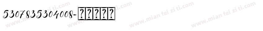 5307835304008字体转换