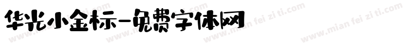 华光小金标字体转换